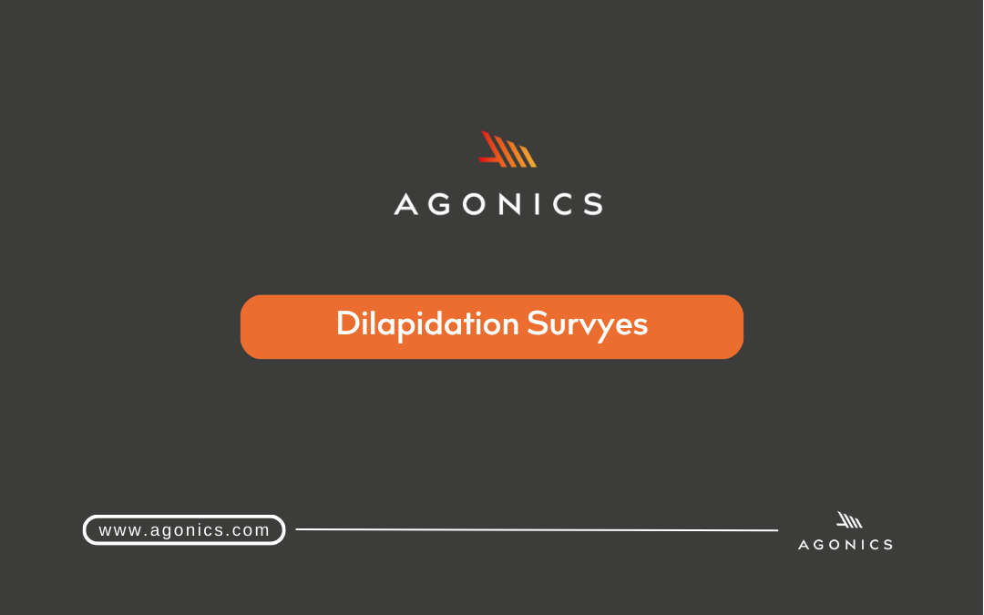 The Power of MLS for dilapidation surveys